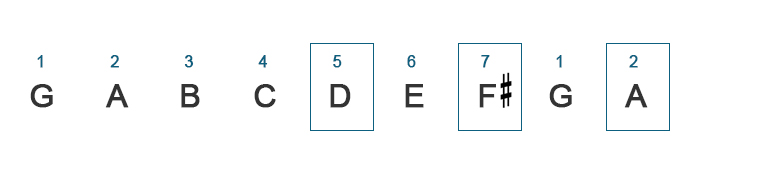 image of frets string names and string numbers